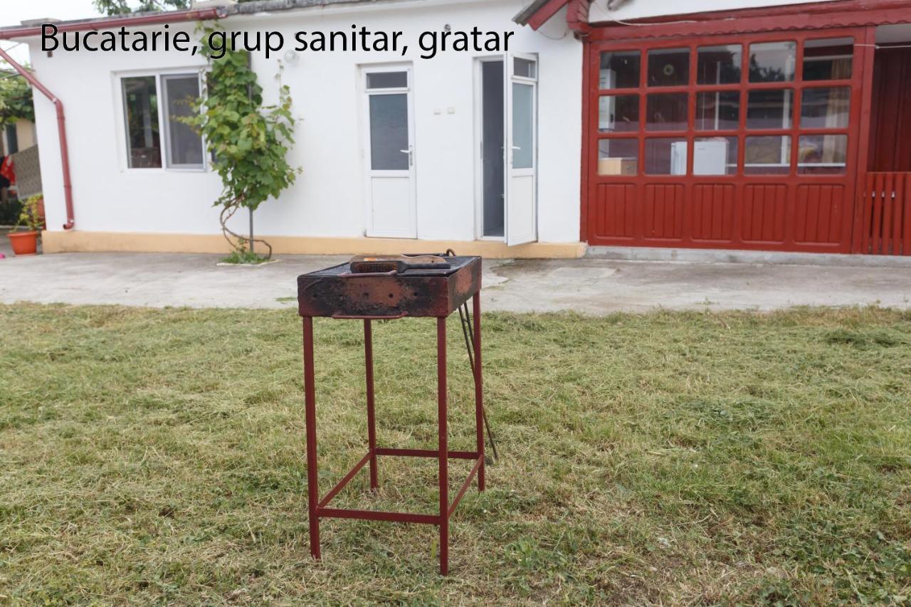 Отель Casa Selena Костинешти Экстерьер фото